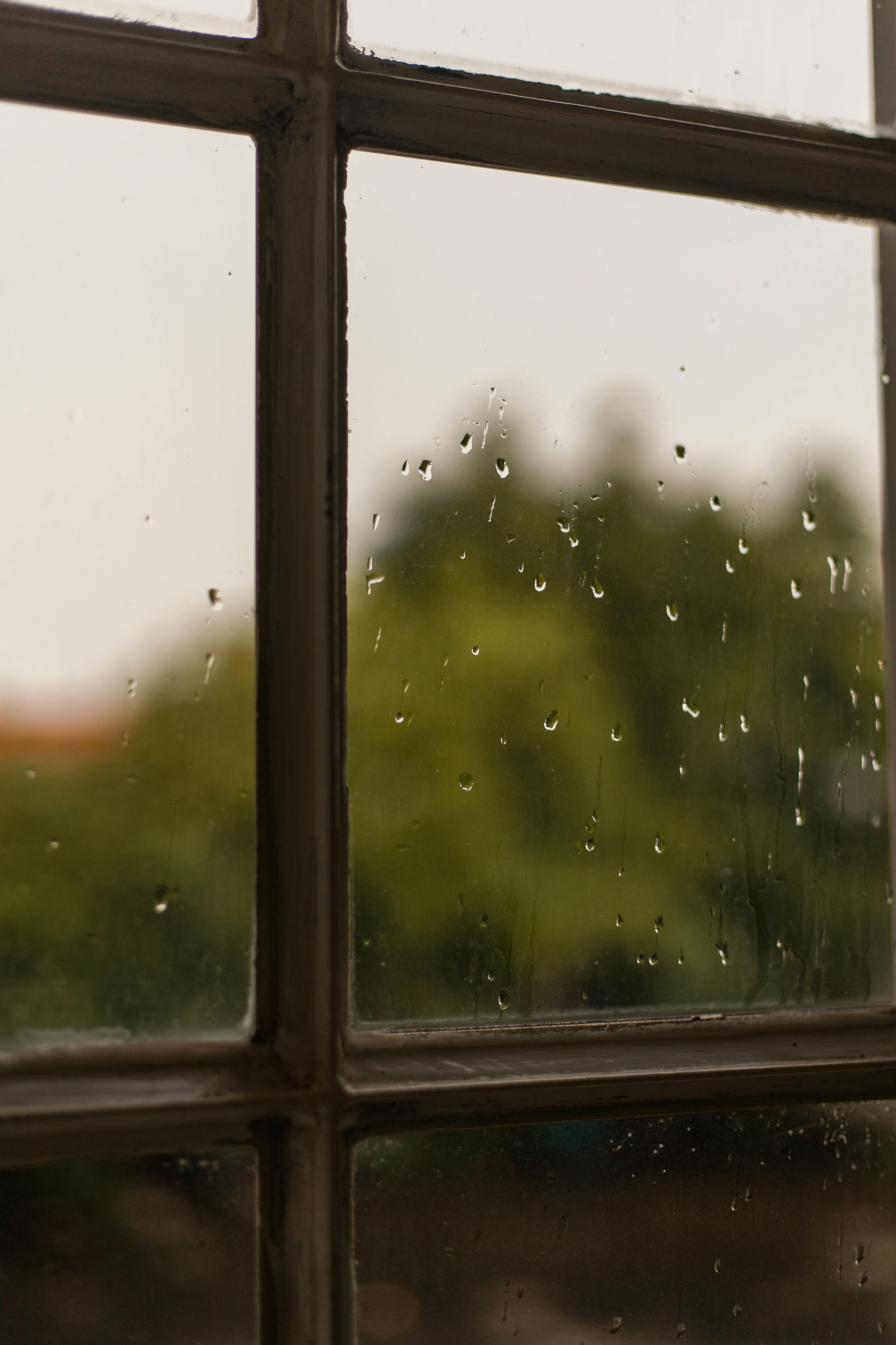 Gambar untuk 5 Tips Biar Rumah Nggak Lembap Meski Musim Hujan