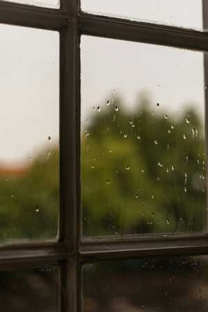 5 Tips Biar Rumah Nggak Lembap Meski Musim Hujan